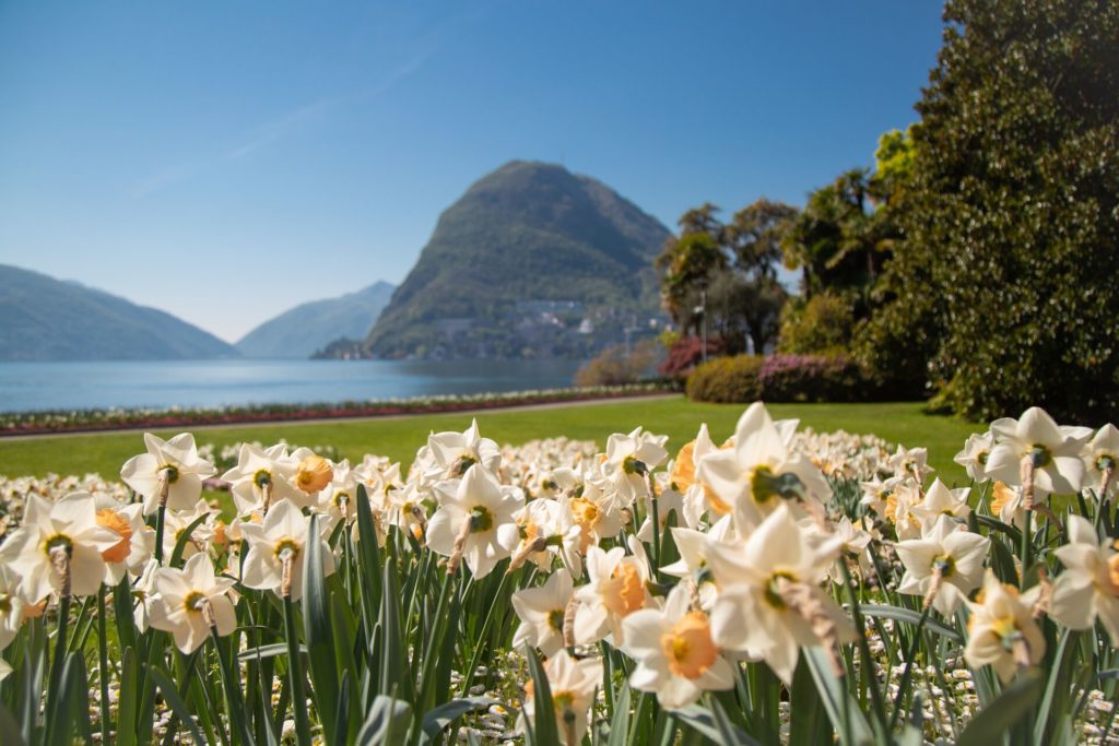 Lugano Spring