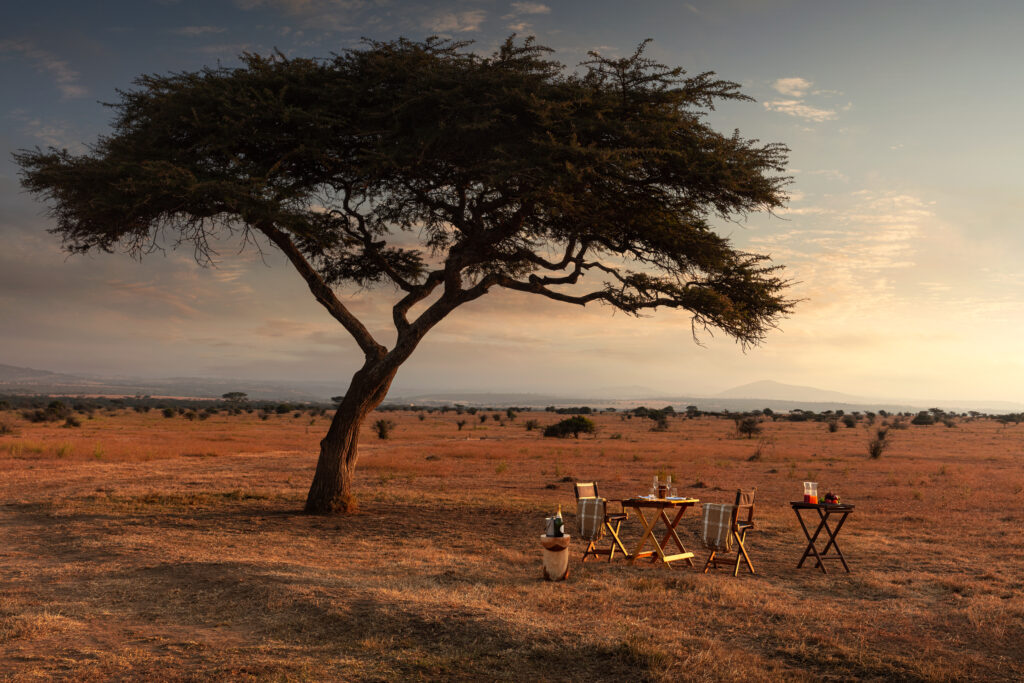 JW Marriott – Neues Safaricamp im kenianischen Solio Game Reserve