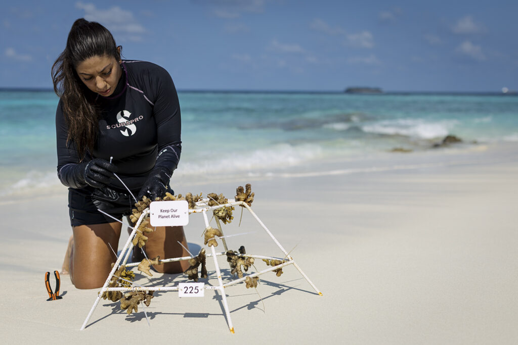 Milaidhoo Maldives erhält 2026 VERIFIED™ Responsible Hospitality Badge